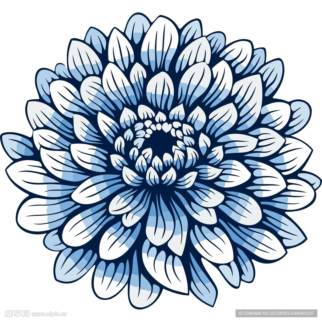 蓝白菊花图案