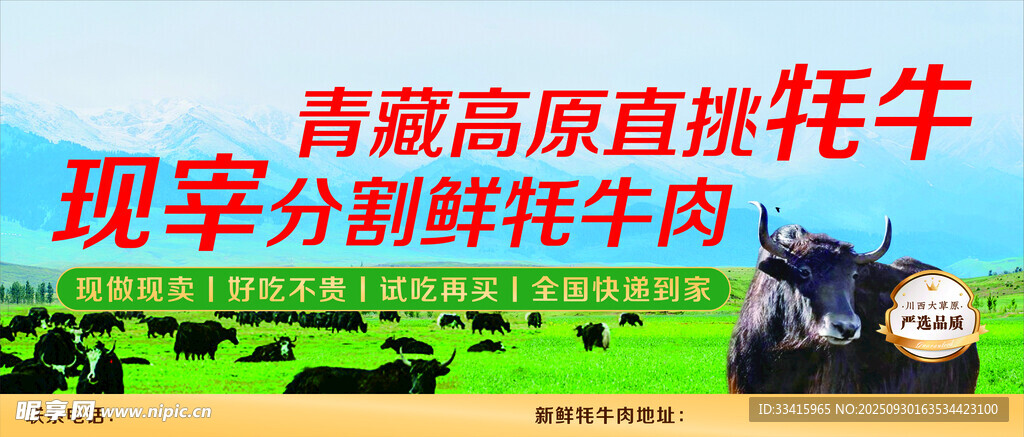 现宰牦牛肉