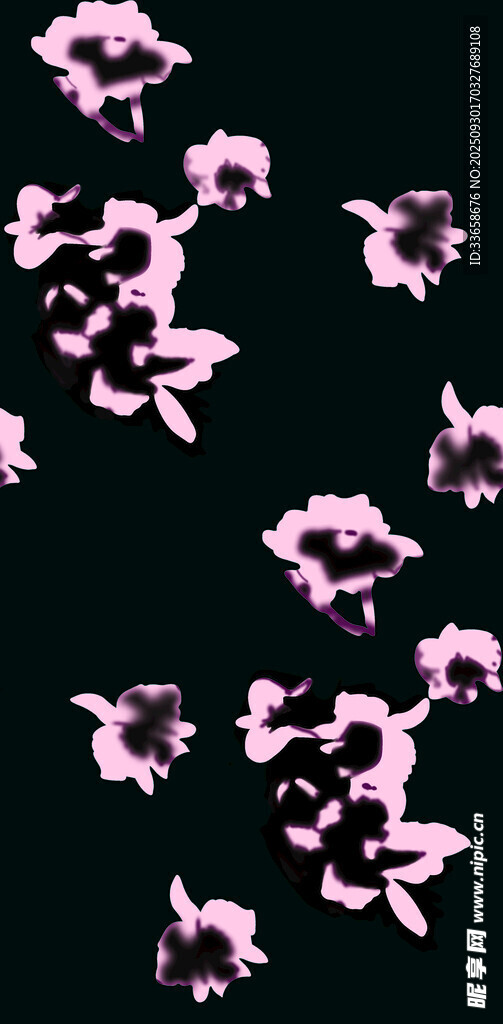 粉色花朵在黑色背景绽放