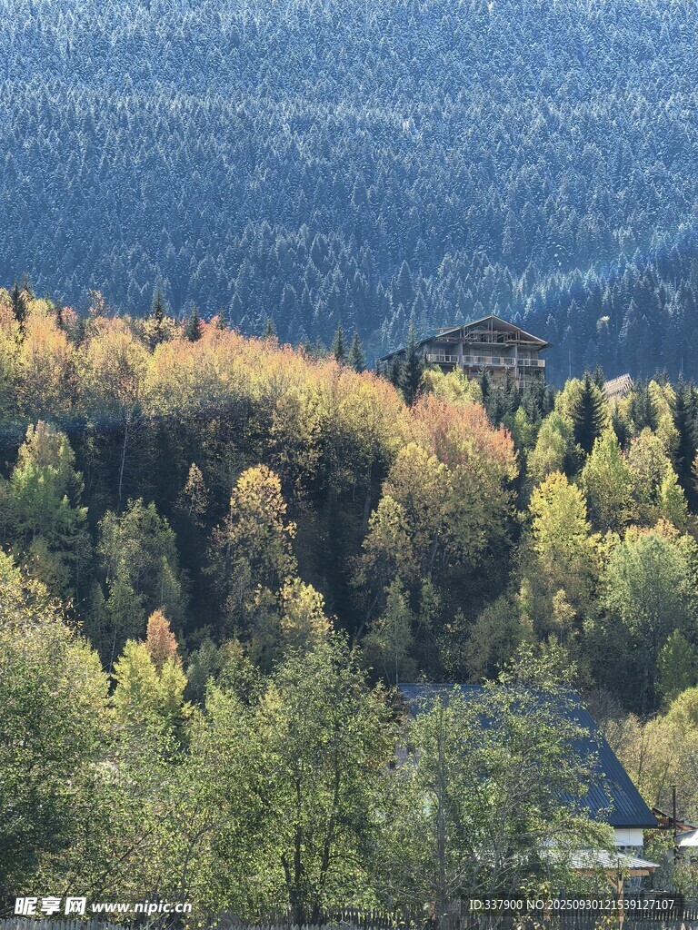 秋日山林美景