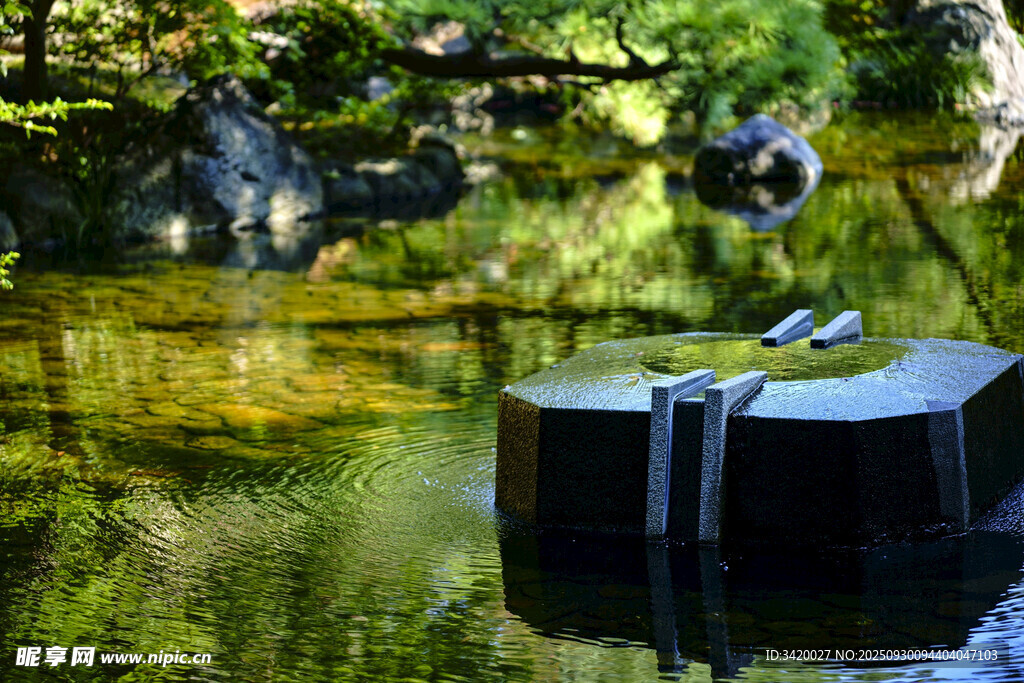湖畔优雅野餐布置场景