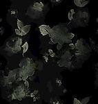梦幻黑金蝴蝶花卉图案