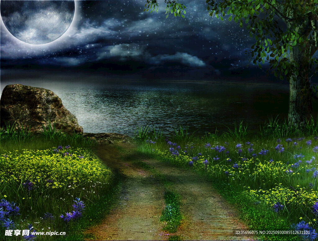 月夜下的梦幻小径与花海