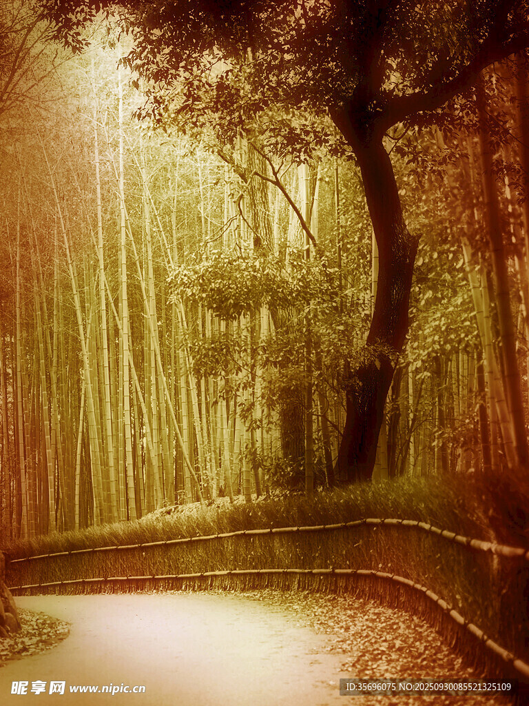 唯美梦幻风景