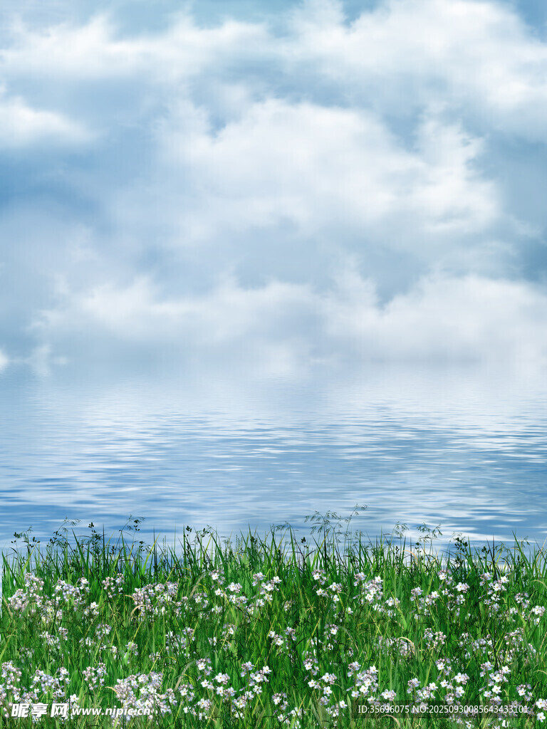 草原花海与蓝天白云
