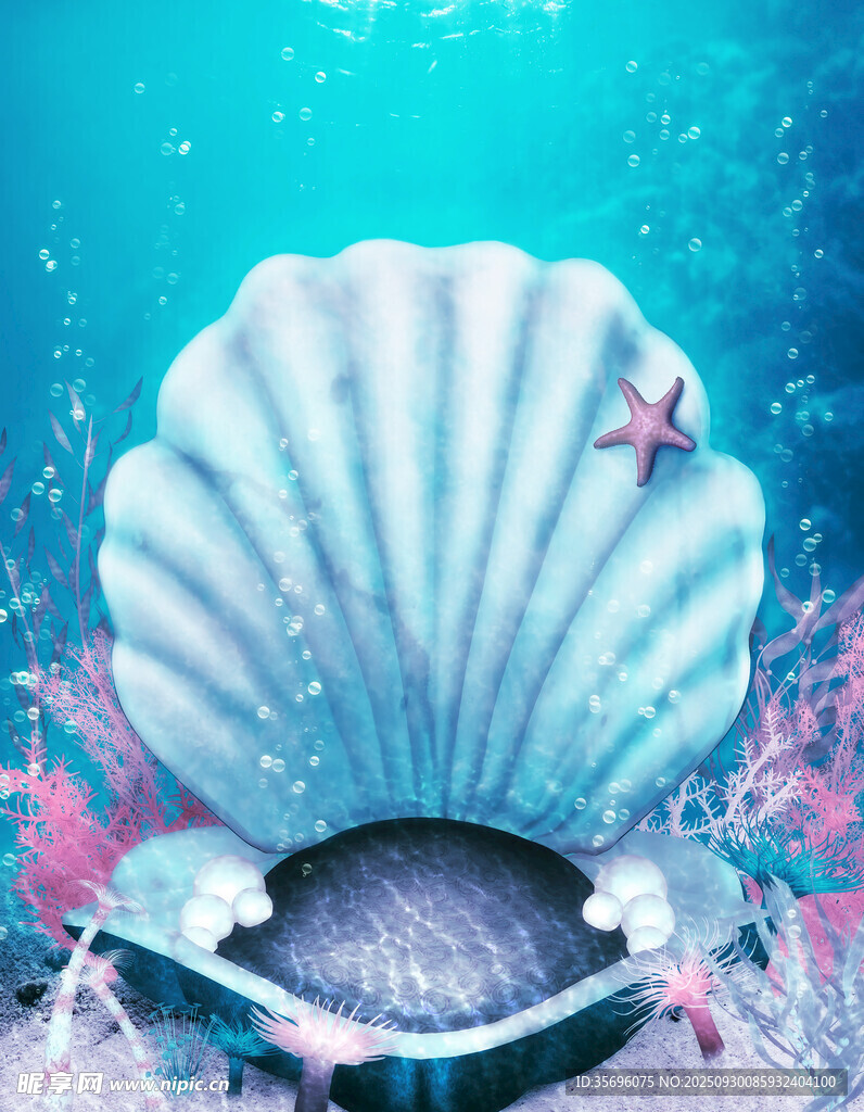 梦幻贝壳海底场景