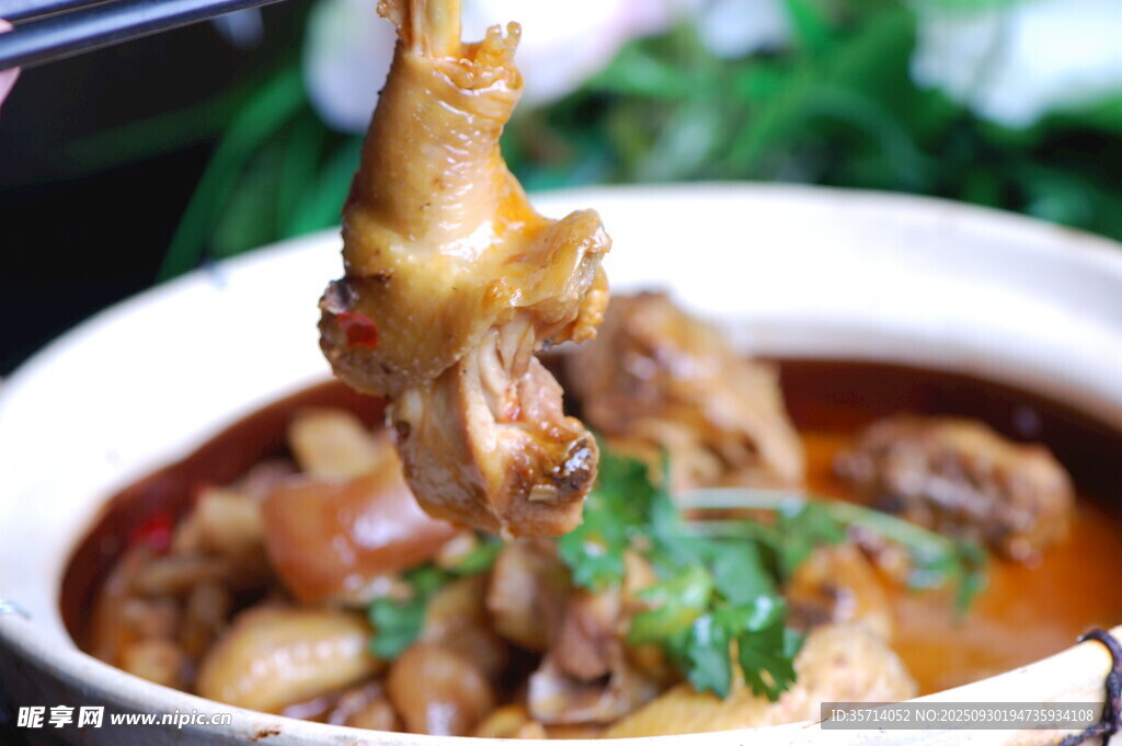 美味炖鸡诱人瞬间