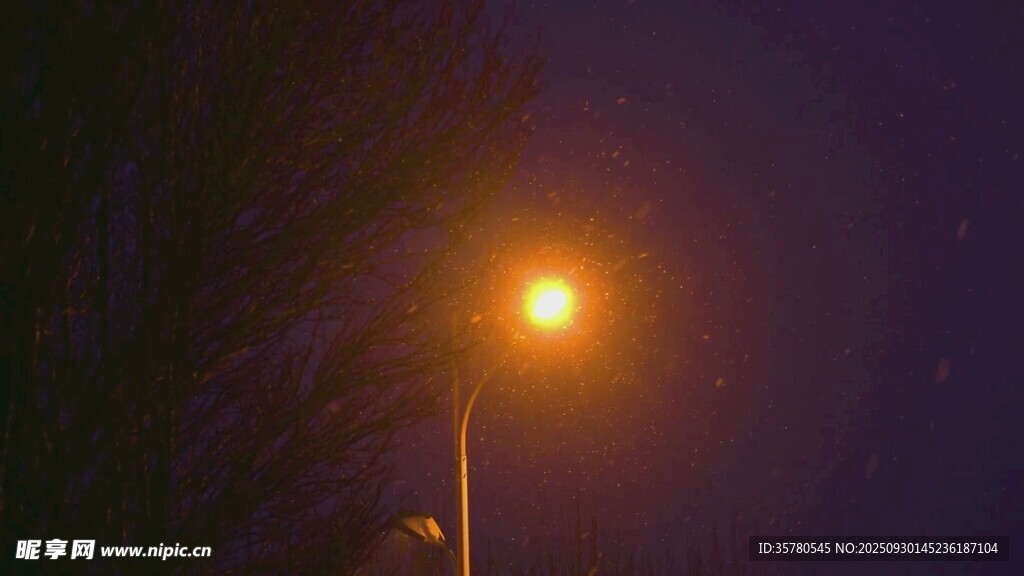 夜晚路灯独亮