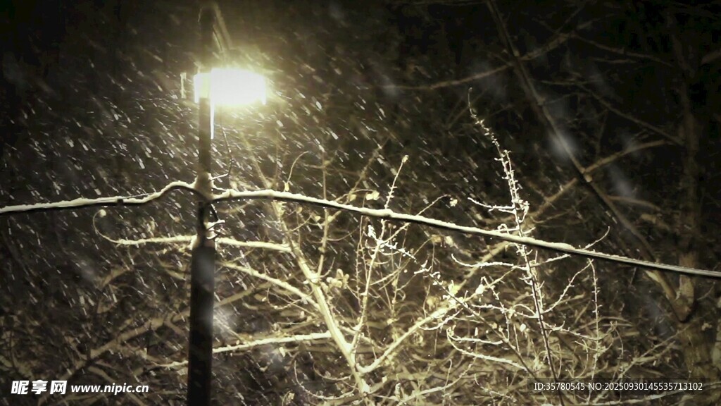 雪夜路灯下的光秃树枝