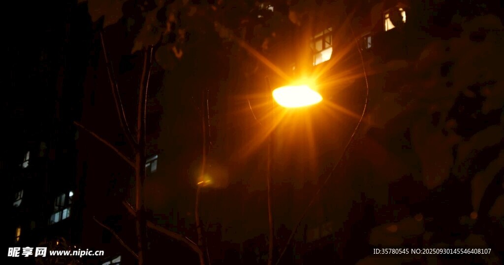 夜晚透过树叶的明亮灯光