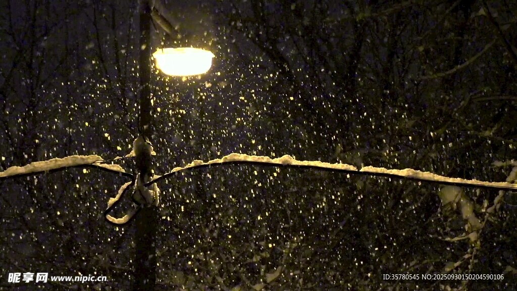 夜景下雨城市视频素材