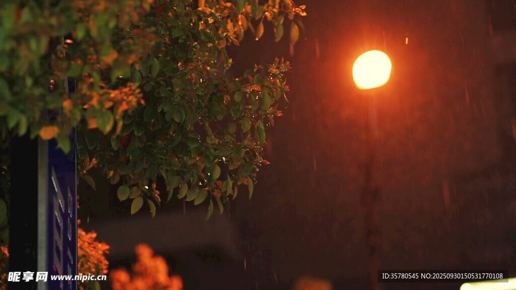雨夜路灯下的朦胧景致