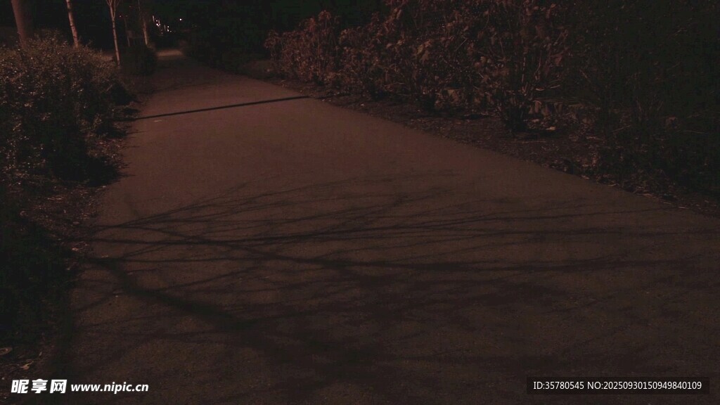 昏暗夜色中的幽静小路
