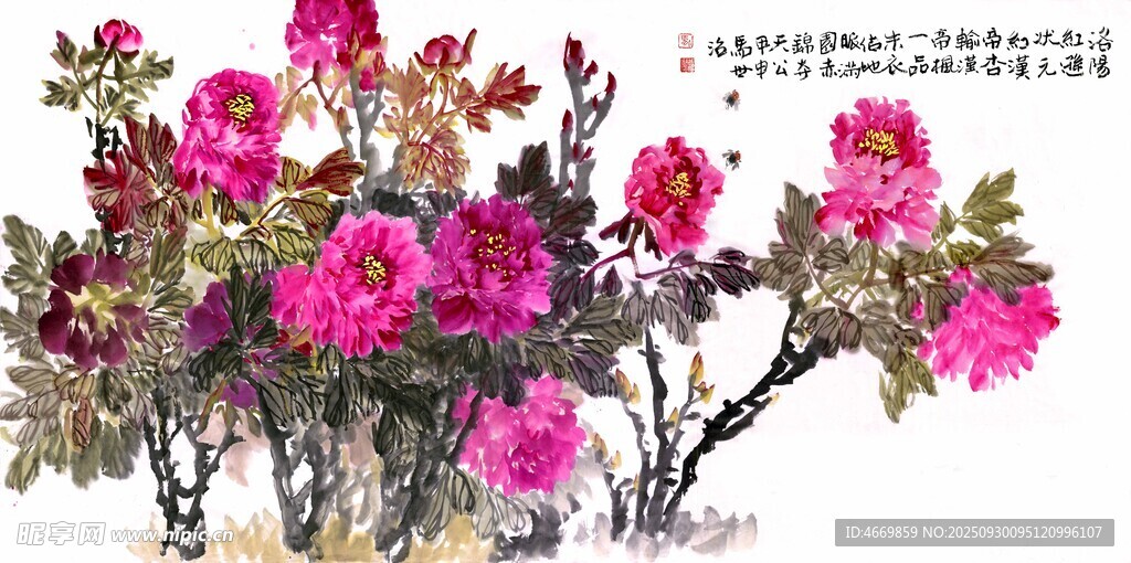 国画牡丹花卉图