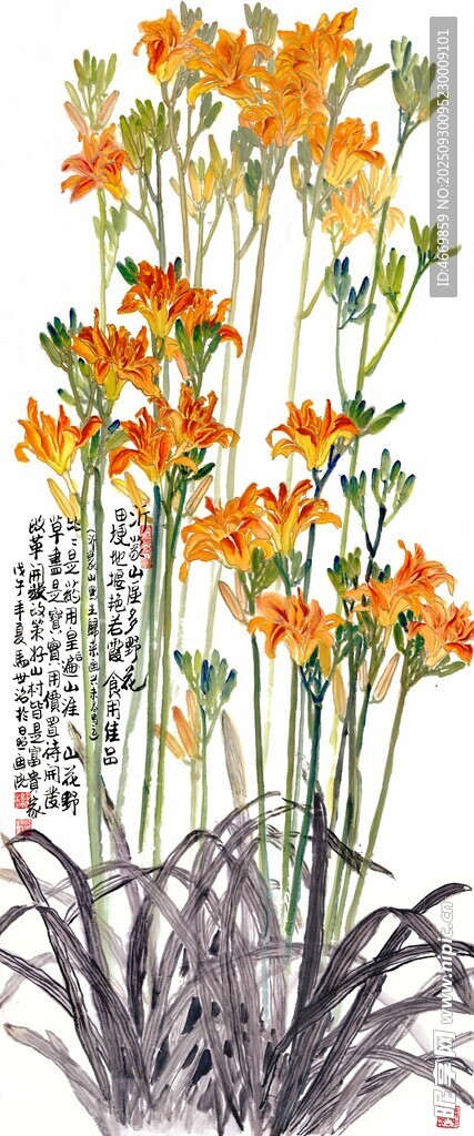橙色花卉插画