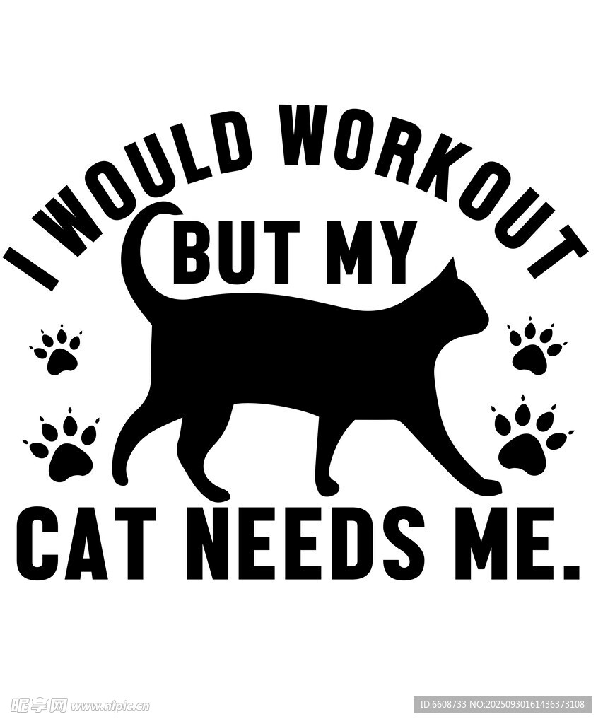 猫咪让我放弃健身的理由