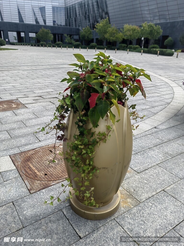 户外大型绿植装饰花盆