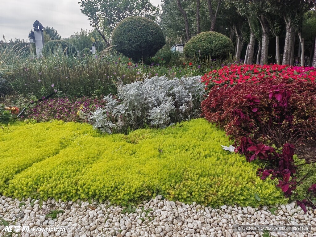 多彩园林景观植物组合