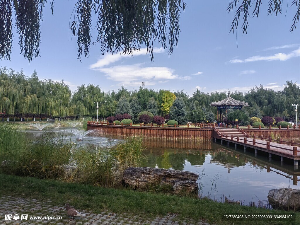湖畔美景木桥垂柳映蓝天