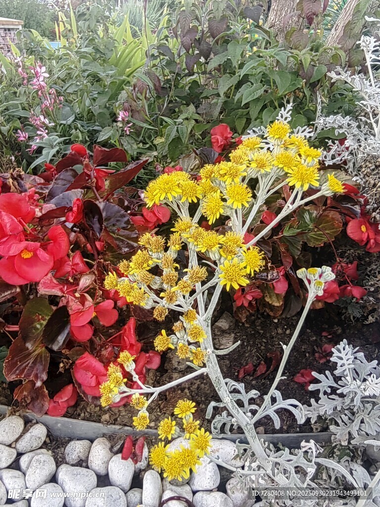 多彩花卉与石子装点的景致