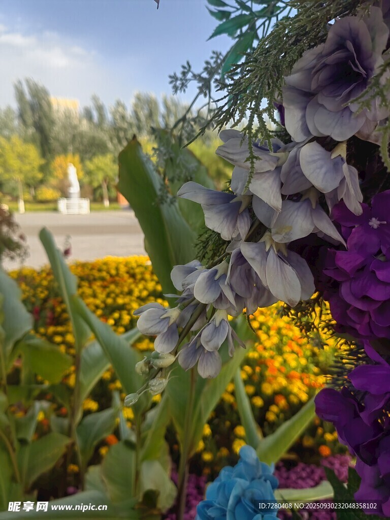 多彩花卉装点的美丽景致