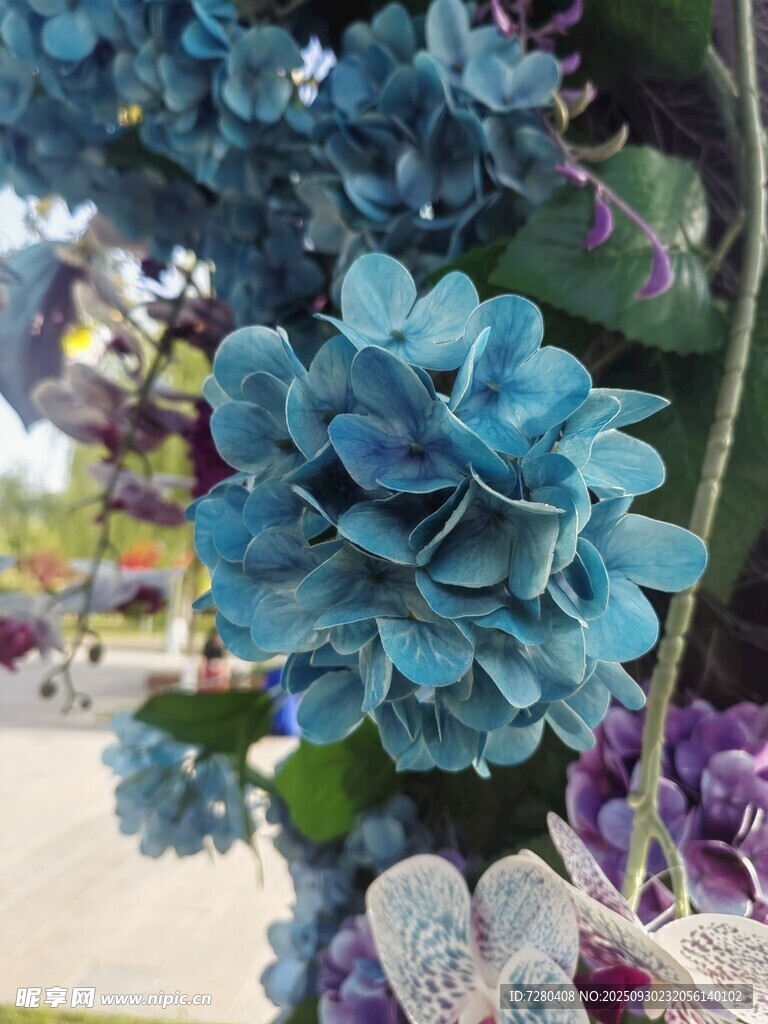 蓝色仿真花卉特写