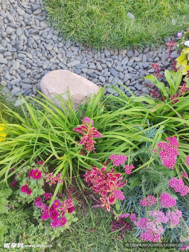 多彩花卉与石景的庭院景致