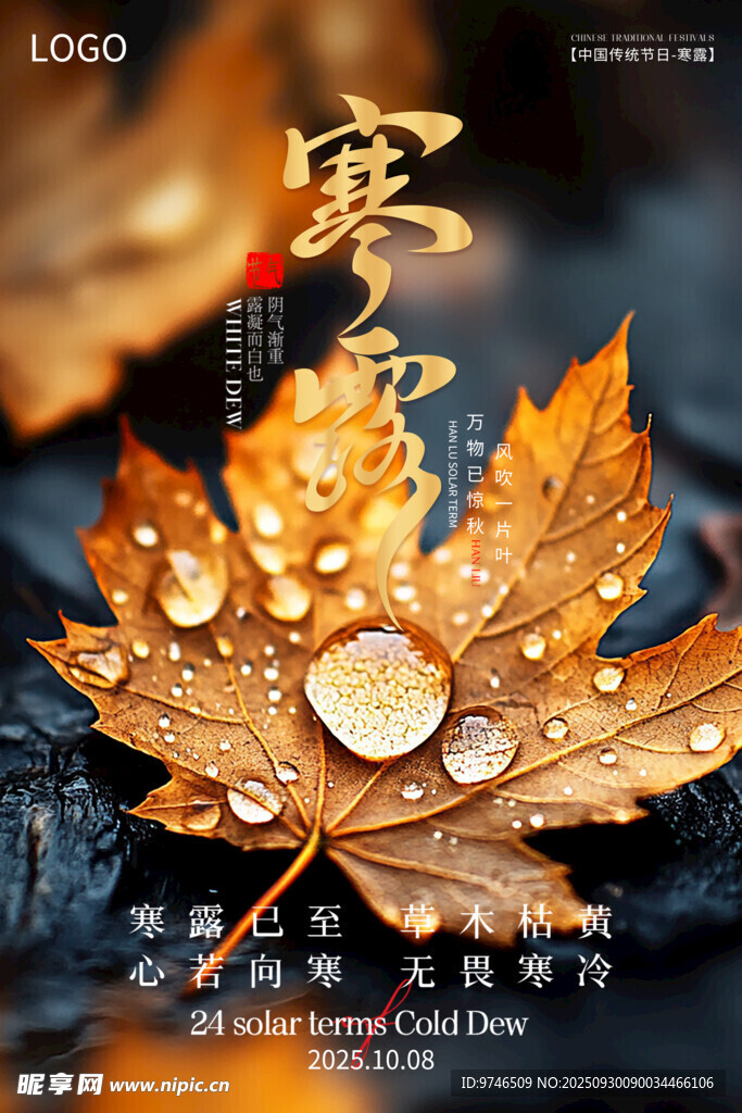 寒露海报
