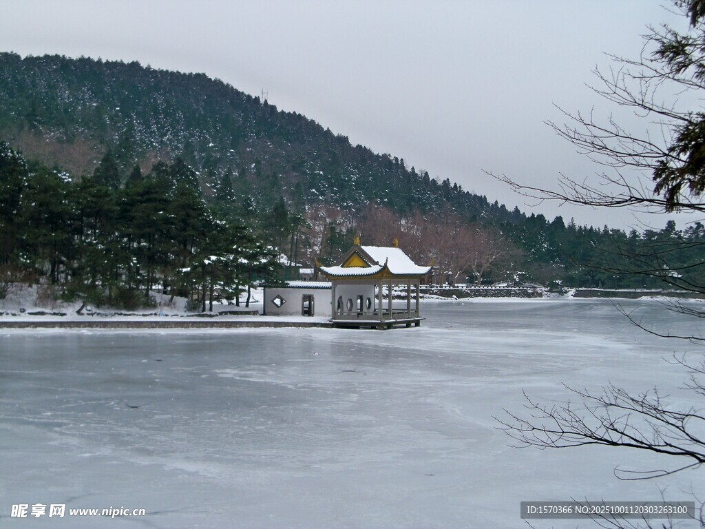 冬日冰封湖畔的静谧景致