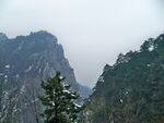 雪覆山峦间的挺拔青松