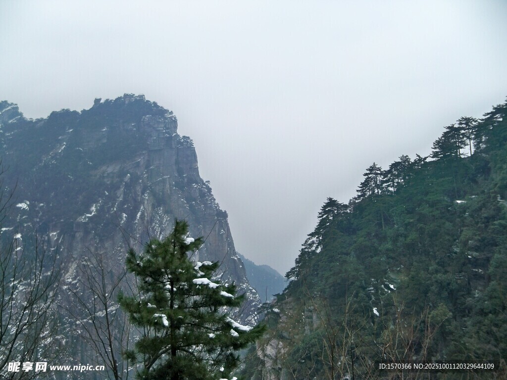 雪覆山峦间的挺拔青松