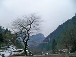冬日山间孤树雪景