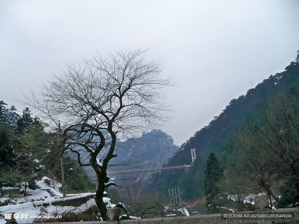 冬日山间孤树雪景