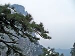 雪覆青松 远山朦胧之景