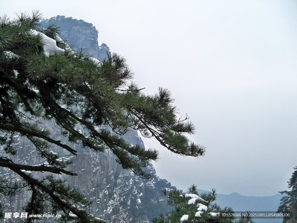 雪覆青松 远山朦胧之景