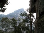 山林间的峭壁与葱郁树木