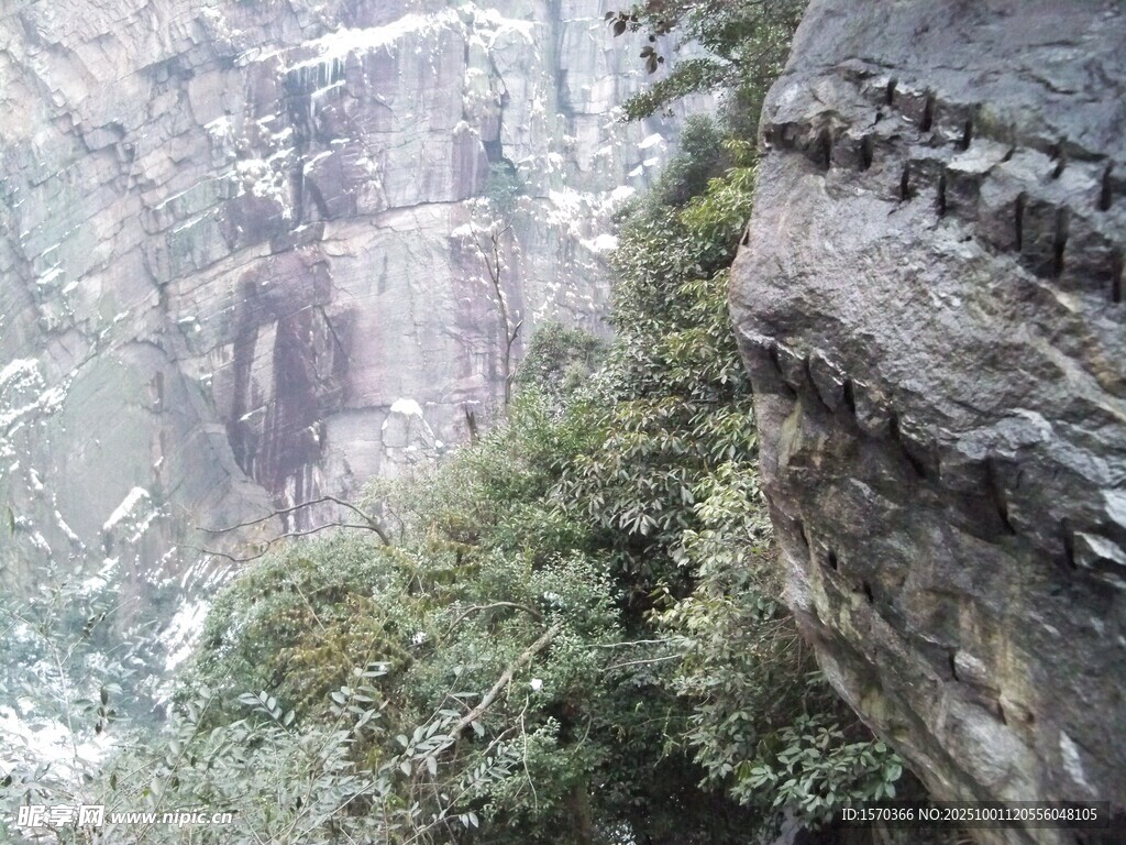 悬崖峭壁上的葱郁植被