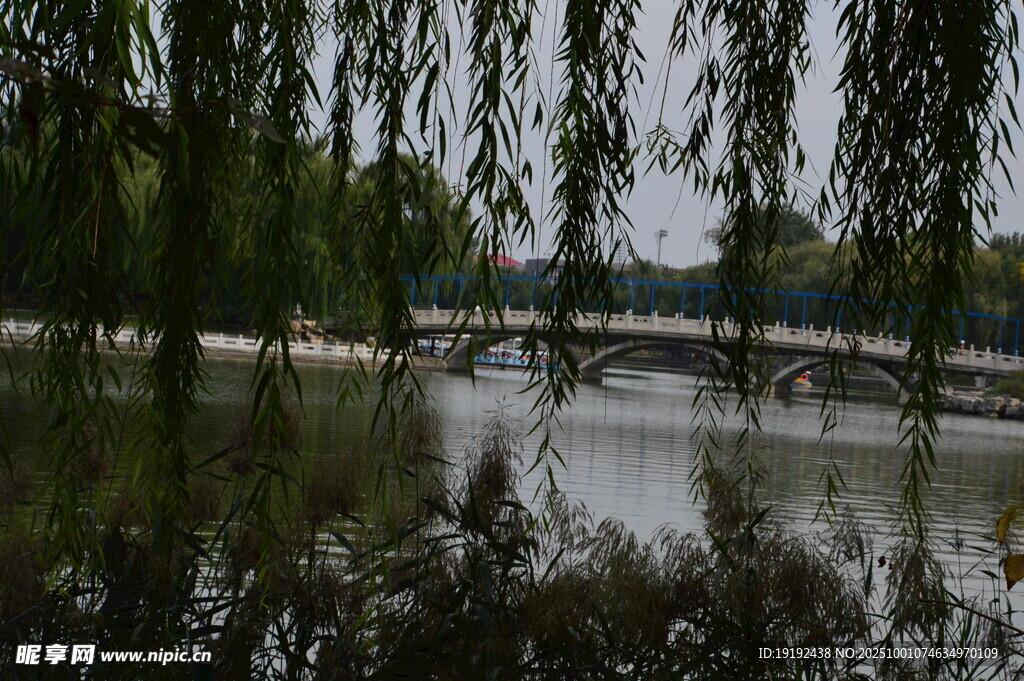 公园风景  