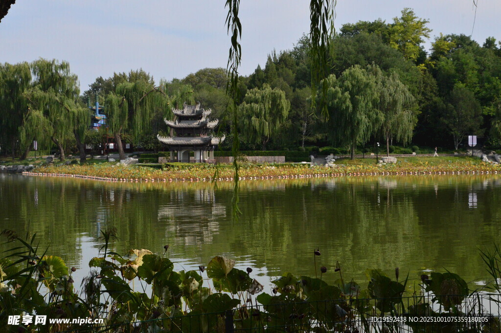 公园风景 