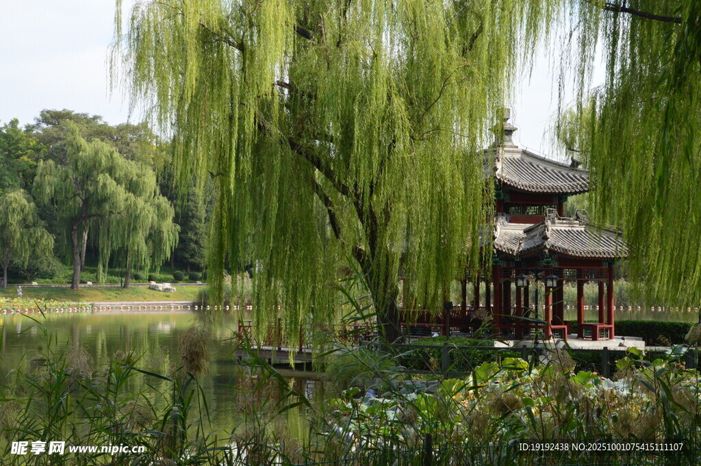 公园风景 