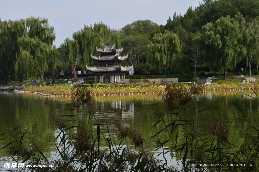 公园风景  