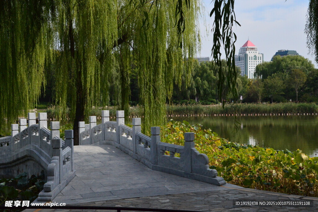 公园风景 