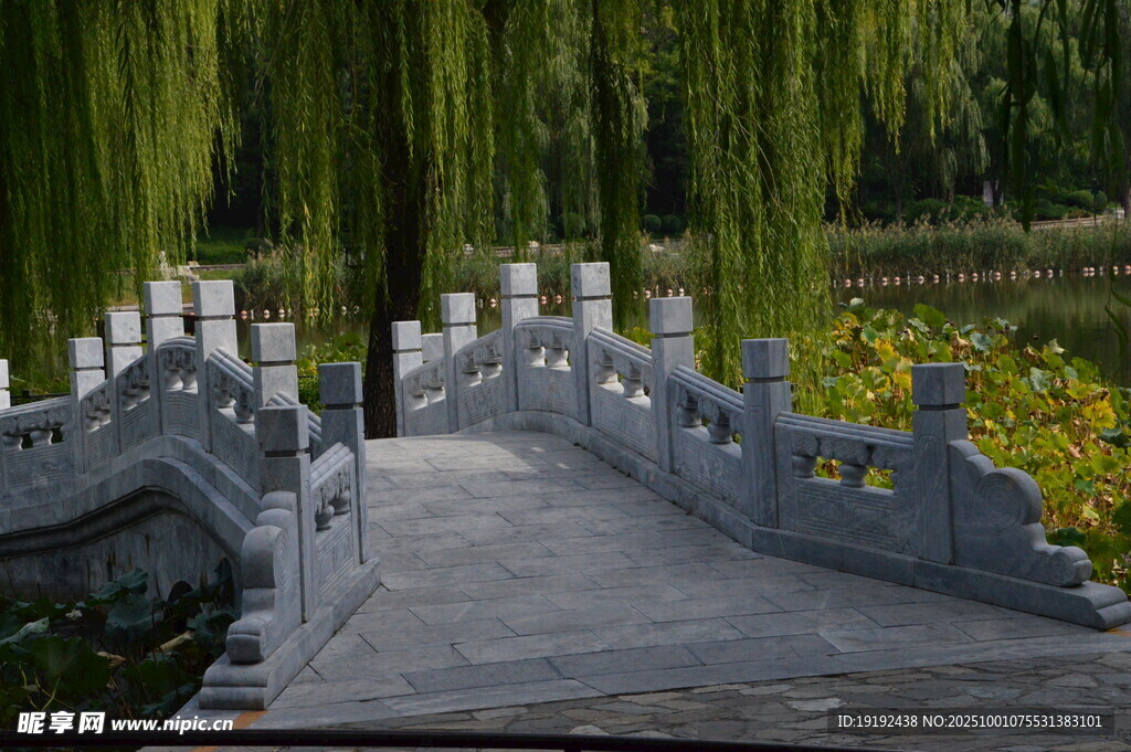 公园风景 