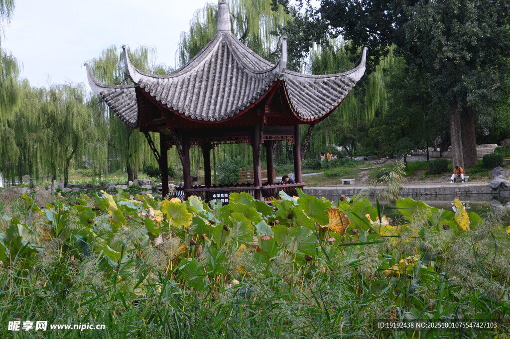 公园风景  