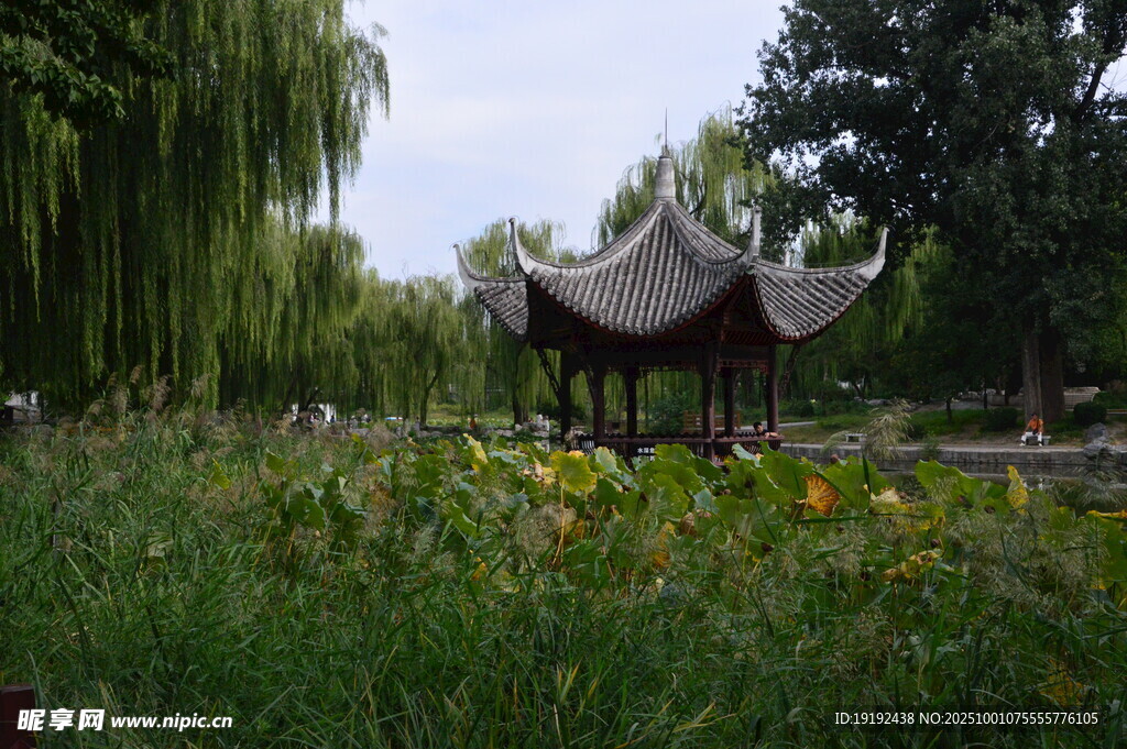 公园风景  
