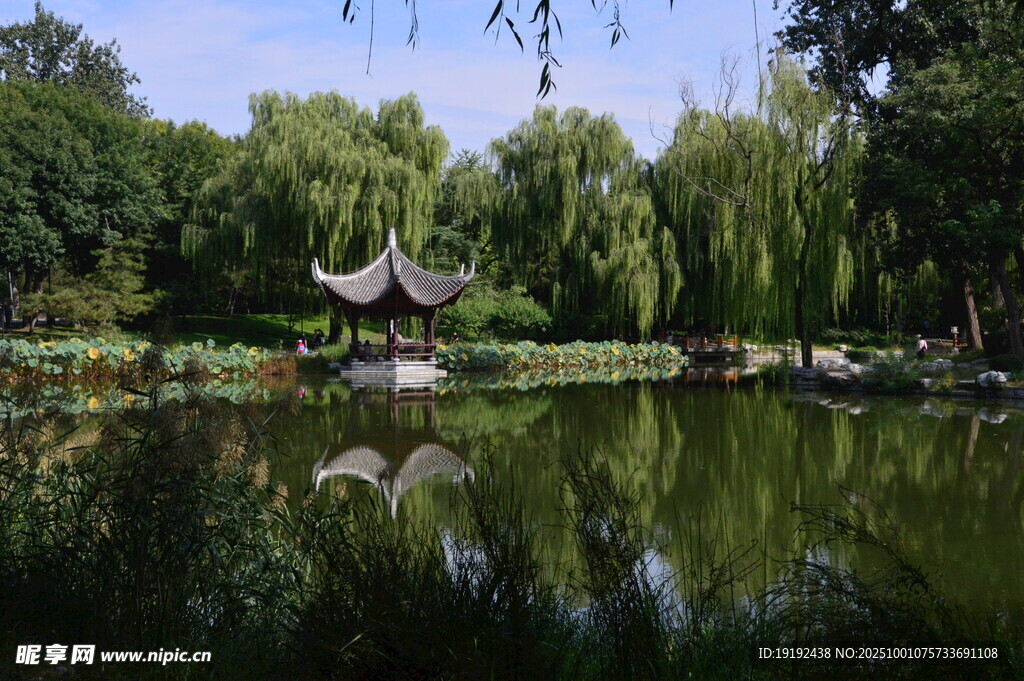 公园风景  