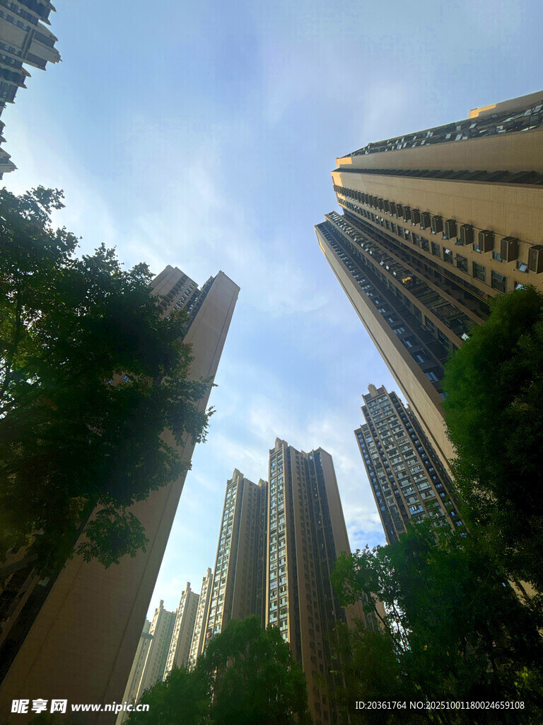仰视城市高楼与绿树景观
