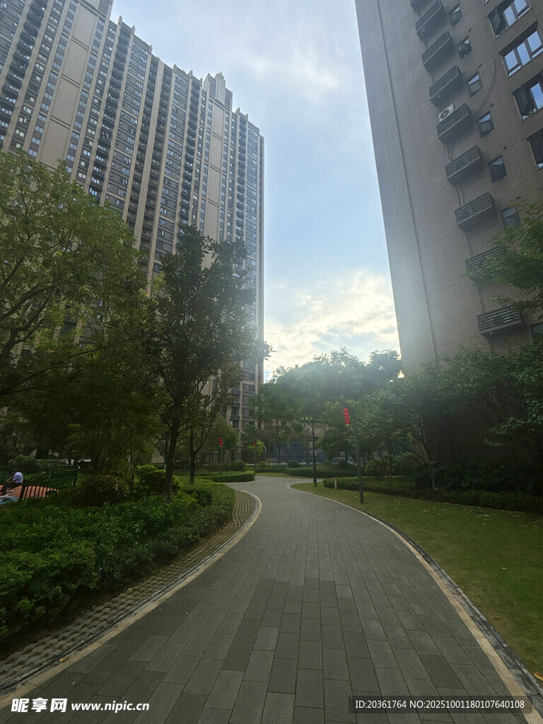 城市中幽静的林荫道路