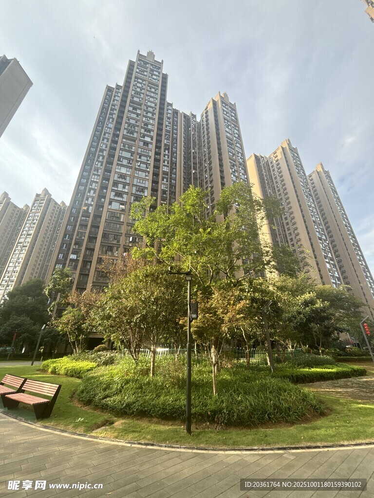 城市高楼旁的绿意景观