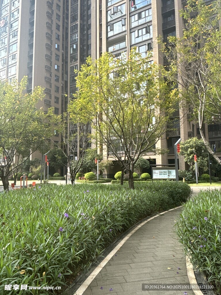 小区内的林荫小径景观